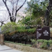 カルトナージュ教室 ラフィネ